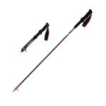 Трекінгова палиця Naturehike ST08 NH18D020-Z, 120 см, бордова